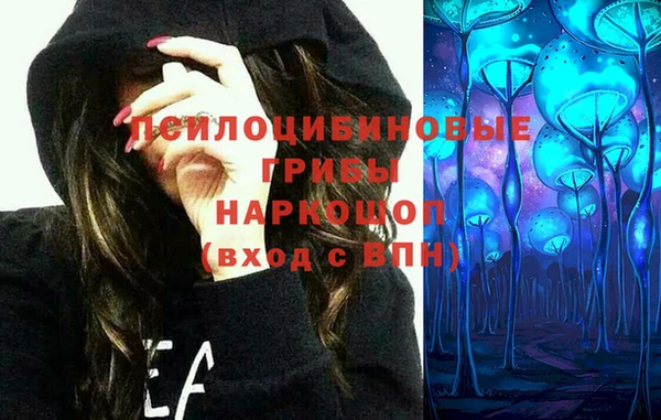 a pvp Лабытнанги